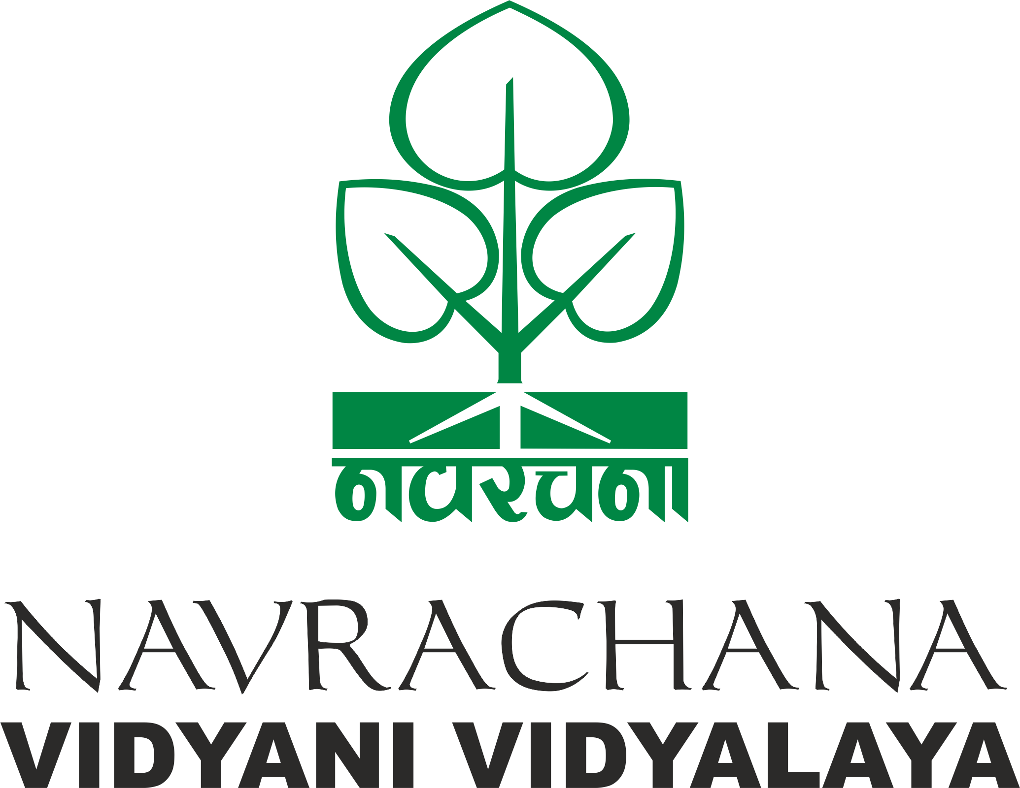 Navrachana Vidyani Vidyalaya