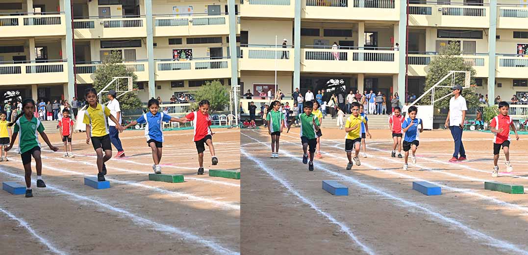 sports 2025-24