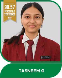 3 TASNEEM G 241X300